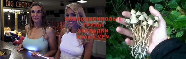 мет Медвежьегорск